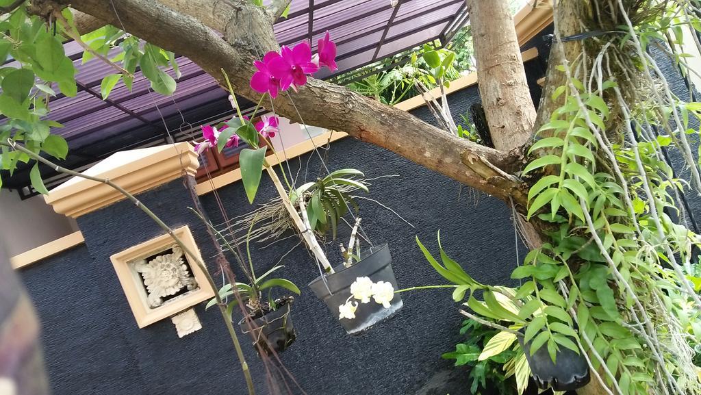 Roemah Canting Homestay Yogyakarta Eksteriør bilde